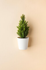 Christmas tree on a beige background. Minimal holiday concept. Copy space.