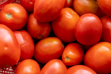 fresh tomatoes in market natural lighting