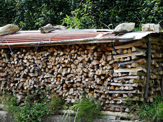 山に保管した薪