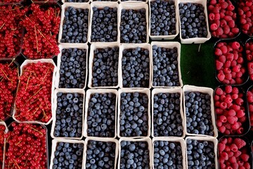 various berries in boxes in market - 387091052