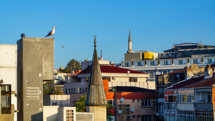 Morning Istanbul and downtown and Sea of Marmara views