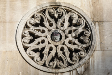 Pigeon sitting in the middle of a circular ornament on the exterior of a building.