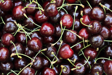  Fresh ripe cherries. Food background.