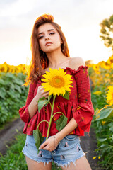 woman in the sunflower field