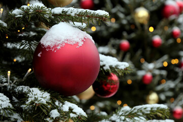 Red and golden Christmas balls hanging on a fir branches covered by snow. New Year tree with...