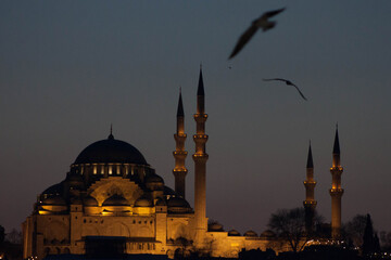 Fototapeta na wymiar mosque, istanbul, turkey, sunset, silhouette, architecture, minaret, religion, sky, dome, dusk, blue, sunrise, night, travel, building, tower, asia, church, sun, evening, city, tourism, taj, religious