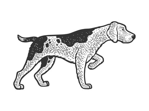 hunting dog hound sketch raster illustration