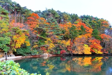 紅葉の水の森公園