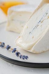 traditional cheese with white and blue mold in the section. Large pieces of sliced cheese on a light table