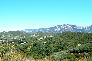 landscape with trees and mountains