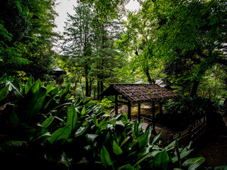 秋の日本の伝統的な庭園の風景　10月