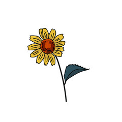 One yellow flower with a green leaf, a flowering plant with a bright orange center and delicate yellow petals