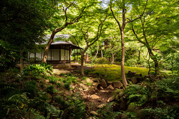 秋の日本の伝統的な庭園の風景