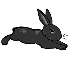 Fototapeta na wymiar Cute little black and grey rabbit