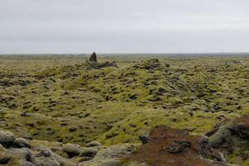 Ein moosiges Lavafeld in Island