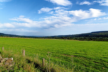 Fototapeta na wymiar Landscape over the fields - County Durham