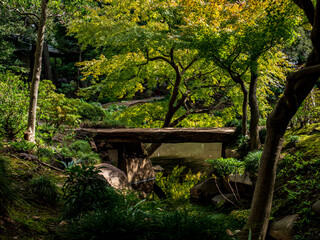 Fototapeta na wymiar 池のある、秋の日本の伝統的な庭園の風景