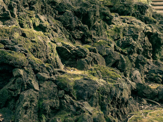 秋の日本の伝統的な庭園の風景