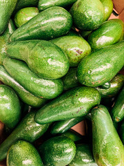 lots of ripe green avocados to eat as a backdrop