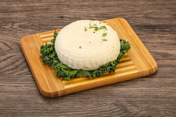 Caucasian suluguni round cheese piece