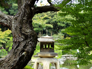 Fototapeta na wymiar 秋の日本の伝統的な庭園の風景