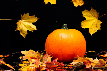 Naklejka na ściany i meble autumn composition with decorative pumpkin maple leaves on dark background. Halloween concept