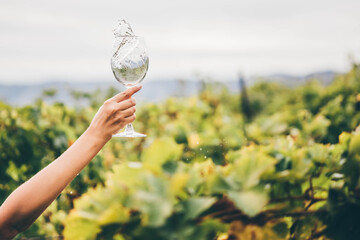 Woman with wine glass standing on the beautiful vineyard. Wine glass splash. Close up.