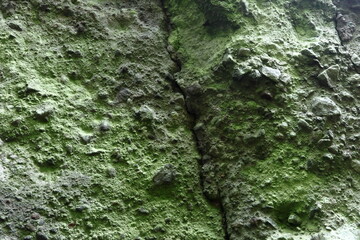 岩壁 (テクスチャーデータ)