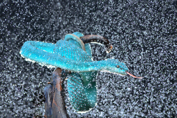 heart made of ice on a blue background