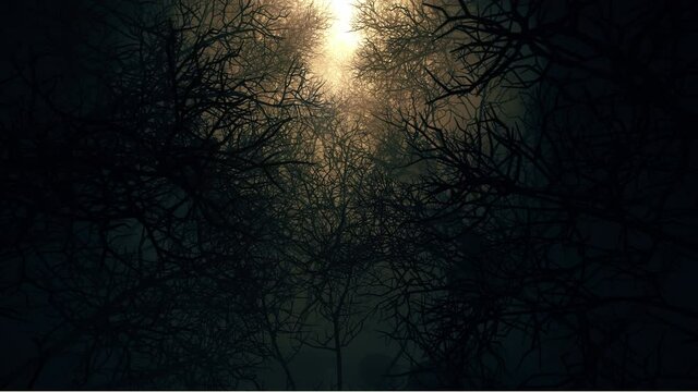 In Night Death Forests is motion footage for adventure films and cinematic in mystery hidden. Also good background for scene and titles, logos.