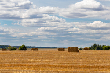 Fototapeta na wymiar hay bales in the field under blue cloudy sky
