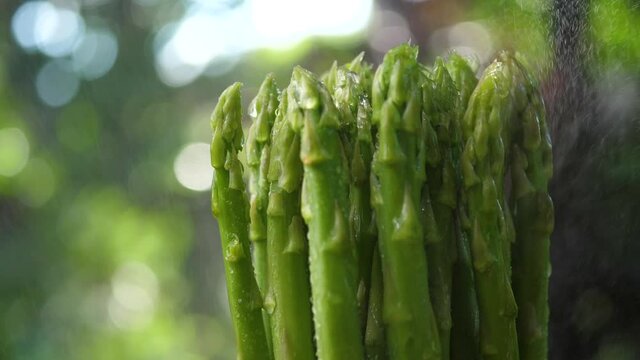 Freshy Asparagus and water spray
