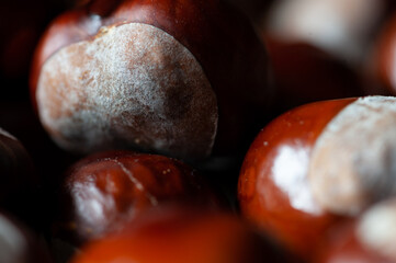 chestnuts on a wooden background