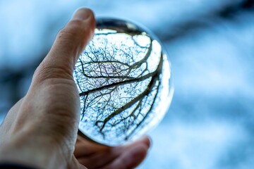 Baum durch Glaskugel, Perspektive, Lensball