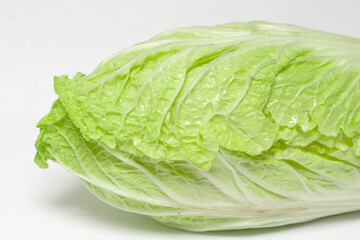 Close up napa cabbage on white background