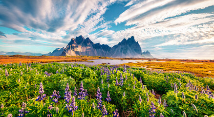 Exciting morning scene of Stokksnes cape with Vestrahorn (Batman Mountain) on background....