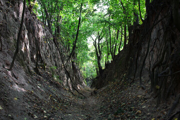 Gorge of Saint Queen Jadwiga in Sandomierz