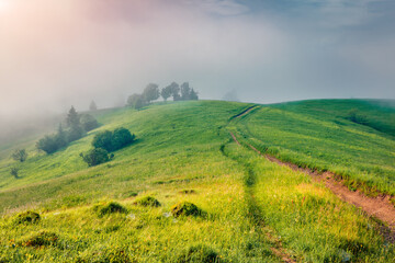 Foggy morning scene of mountain valley with old country road. Bright summer view of abandoned Carpathian village. Sunny landscape of green mountain hills, Yasinya village location, Ukraine.