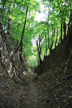 Gorge of Saint Queen Jadwiga in Sandomierz