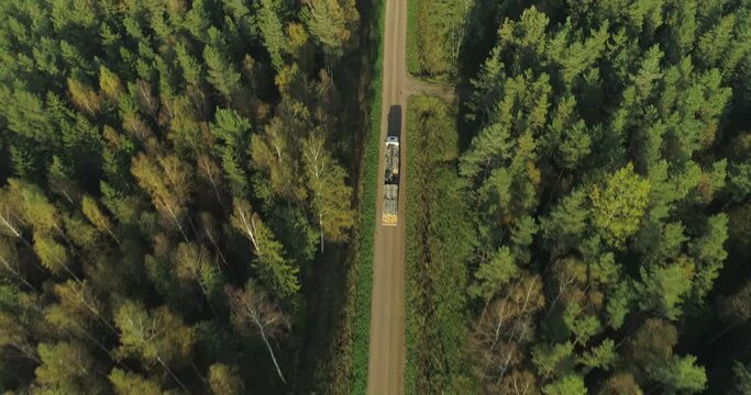 Aerial view of logging truck full of tree logs timber driving on road in forest