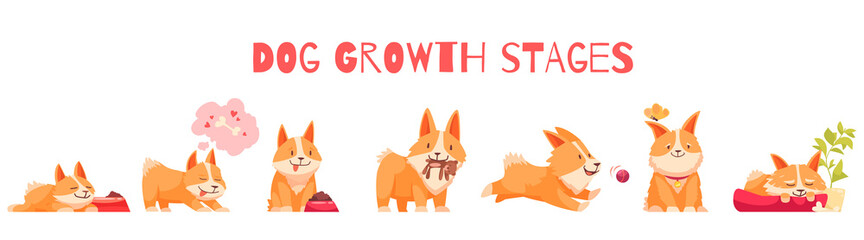 Dog Growth Stages Composition