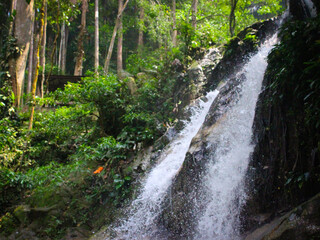 Fototapeta premium Waterfall