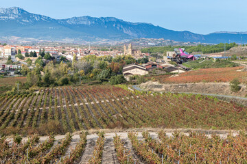 Vineyards and town of Elciego, Basque Country, Spain
