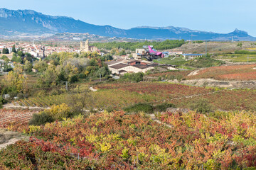 Vineyards and town of Elciego, Basque Country, Spain