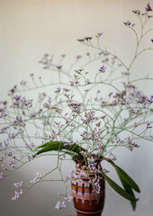 Lace bouquet from the Kermek plant in a flowerpot