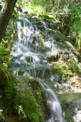 L'eau blanche d'une cascade en forêt