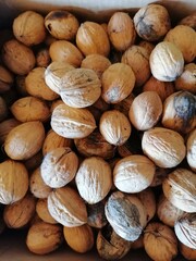 background of nuts