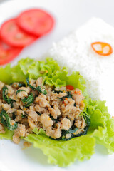 鶏肉バジル炒め