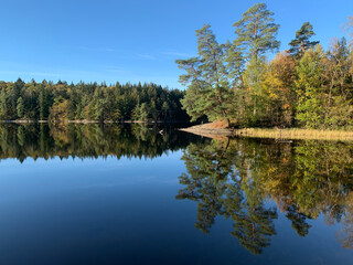 Fototapeta na wymiar Autumn nature landscape, lake, trees, colorful, foliage, Reflections in calm water. Photography taken in October in Sweden. Blue sky background, copy space and place for text.