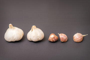 Still life of two garlic heads and garlic cloves grouped on dark background